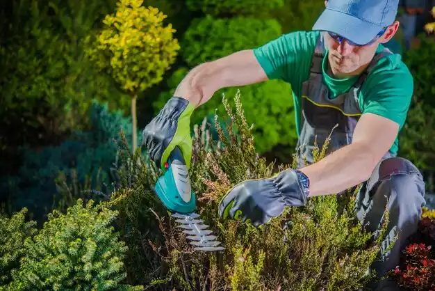 landscaping services Crystal Springs